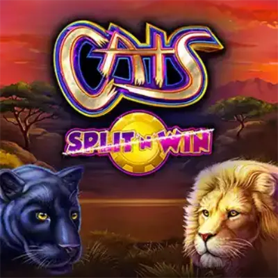 Cats Split 'N' Win